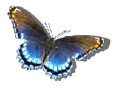 animated_blue_and_brown_butterfly